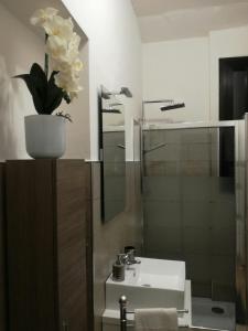 baño con lavabo y maceta en La Casa Dei Viaggiatori, en Milán