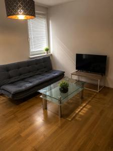 a living room with a black couch and a glass table at QuietApt Vienna in Vienna