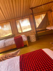 a room with two beds and two windows in a tent at Samburu Tempo Camp in Archers Post +24 photos