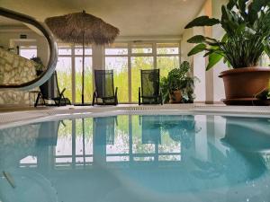 a swimming pool with chairs and plants and a mirror at VATTERSGARDEN GmbH in Viechtach +7 photos