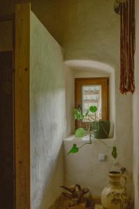 a plant sitting on a shelf in a room at DobroDziejnia in Nowa Ruda +168 photos