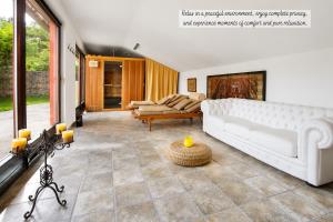 a living room with a couch and a fireplace at Villa Noiram - Your dream Getaway in Nature in Senožeče