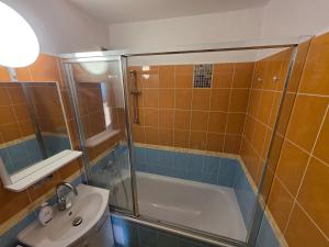 a bathroom with a shower and a toilet and a sink at U Lose in Liberec +19 photos