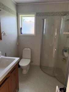 a bathroom with a shower and a toilet and a sink at Villa Oakfield in Fröseke +5 photos