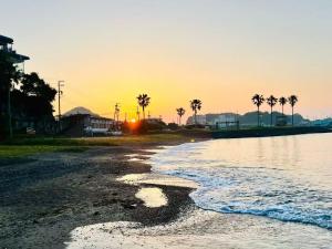 a beach with palm trees and the sunset in the background at 島の宿 in Toba