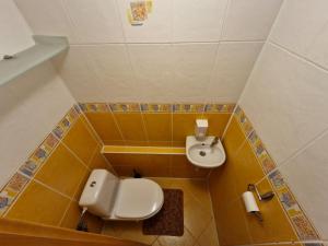 a small bathroom with a toilet and a sink at LV Central Apartment in Levice