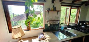 a kitchen with a sink and a window with a plant at Tiny House Lau at Glamping Verbaarum in Bedum