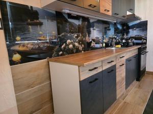 a kitchen with a counter with a boat in the background at U Lose in Liberec
