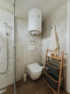a bathroom with a toilet and a shower at Vikendica Family in Gojsalica