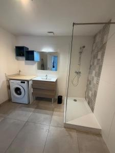 a bathroom with a shower and a washing machine at Le Marronnier - Studio confortable proche de Lyon in Charbonnières-les-Bains