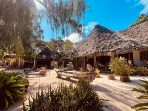 a house with a thatched roof and a patio at Mama Root in Kizimkazi