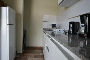 eine Küche mit Arbeitsfläche und Kühlschrank in der Unterkunft Coty C in Saladillo