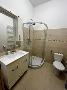 a bathroom with a shower and a toilet and a sink at Vera Residence - Free Private Parking & Self Check-In in Timişoara +17 photos