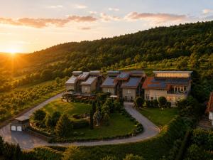 an aerial view of a house in a vineyard at MANA LISA Boutiquehotel in Lauda-Königshofen