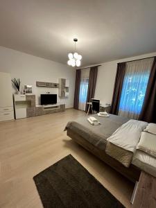a bedroom with a large bed and a television at Vera Residence - Free Private Parking & Self Check-In in Timişoara