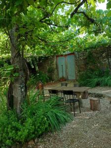 a picnic table and a bench under a tree at Bota Rota Pilgrim House in Paredes de Coura