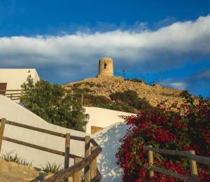 a building on top of a hill with flowers at La casa del papica in Níjar