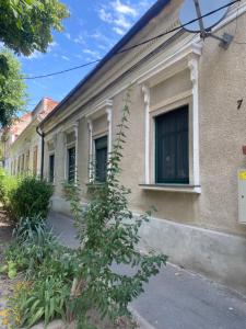 a building with a tree in front of it at Vera Residence - Free Private Parking & Self Check-In in Timişoara