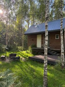 a log cabin in the woods with a yard at Inkilas in Sidabrinės