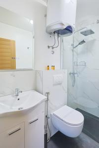 a bathroom with a toilet and a sink and a shower at FourMountains-Bjelašnica in Sarajevo
