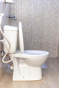 a white toilet in a bathroom with a shower at Wenyeji Inn Hotel Moshi in Moshi