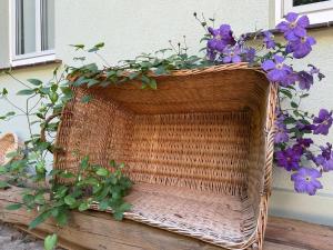 a wicker basket with purple flowers in it at Misses Greenday in Bad Suderode