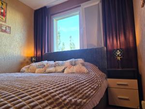 a bedroom with a bed in front of a window at U Lose in Liberec