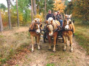 a group of people riding on a horse drawn carriage at Landgasthof Cafe Gut Ahe in Kirchhundem