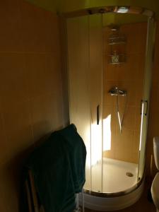 a shower with a glass door in a bathroom at Plantacja Wierzby Agroturystyka in Haczów +40 photos