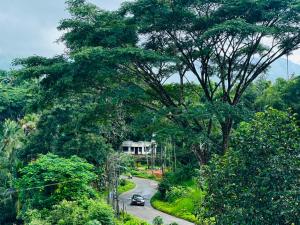 a car driving down a road next to a tree at Hide Away in Padinjarathara