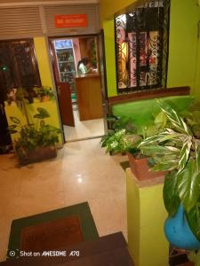 a store with plants in theoyer of a building at ALICIA Hôtel in Yaoundé