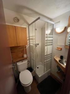 a small bathroom with a toilet and a shower at Cool ski Tignes chalet relax in Tignes