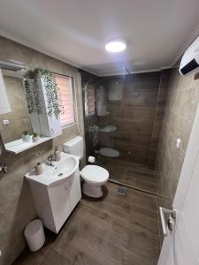 a bathroom with a toilet and a sink and a shower at Smeštaj Stamenić in Bajina Bašta +3 photos
