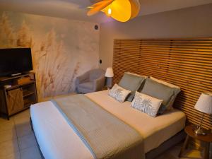 a bedroom with a bed with a television and a chair at Gite Le Clos de Sée in Chérencé-le-Roussel