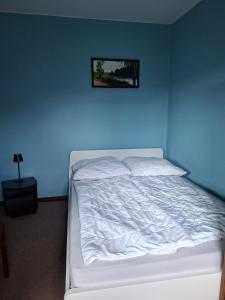 a white bed in a room with a blue wall at Einfamilienhaus 