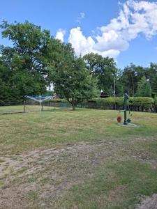 a field with a soccer ball and a goal at Einfamilienhaus 
