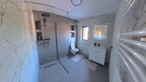 a bathroom with a shower and a toilet and a sink at CASA R&D in Moisei +33 photos