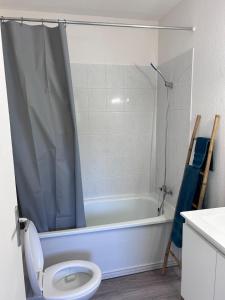 a bathroom with a tub and a toilet and a shower at Studio 20m2 avec balcon in Corte +2 photos
