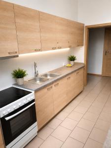 a kitchen with wooden cabinets and a sink at Kwatery pracownicze in Łódź