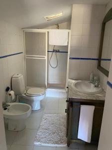 a bathroom with a toilet and a sink and a shower at Casa Ferreira in Beja