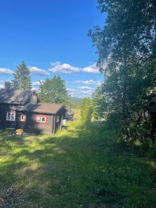 a house in the middle of a field with a yard at Waldhaus mit Seeblick in Nyhammar