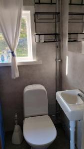 a bathroom with a toilet and a sink at Waldhaus mit Seeblick in Nyhammar