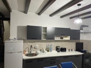 a kitchen with a sink and a white refrigerator at Cabana Elena in Rausor +5 photos