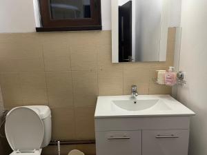 a bathroom with a sink and a toilet and a mirror at Cabana Elena in Rausor