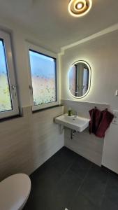 a bathroom with a sink and a mirror at Sonnenstüble in Eriskirch