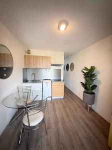 a kitchen with a glass table and a potted plant at Paisible studio fonctionnel in Cluses