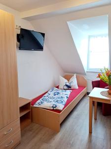 a small room with a bed and a flat screen tv at Schullandheim Sohland Spree in Auf der Wiese +1 photo