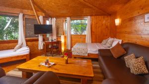 a living room with a couch and a bed and a tv at De Rock Jungle Living Resort in Coonoor