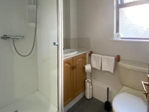 a bathroom with a shower and a toilet and a sink at Puffin - Dubh Segir in Lerags