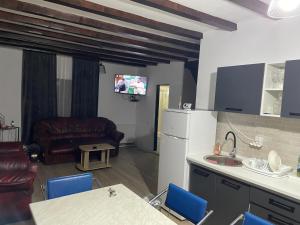 a kitchen and living room with a couch and a refrigerator at Cabana Elena in Rausor